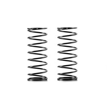 FRONT SPRING-SET - 1 DOT (2) - 368183 - XRAY