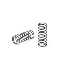 FRONT SPRING-SET - 1 STRIPE & 3 DOTS (2) - 368182 - XRAY