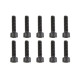 TEAM CORALLY - STEEL SCREWS M4 X 16MM - HEX SOCKET HEAD - 10 - C-3001