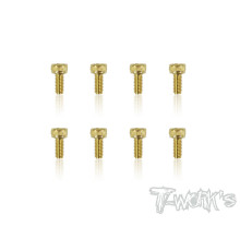 2.5mmx6mm Gold Steel Hex. CHC Screws (8pcs) - T-WORKS - GSS-2506H