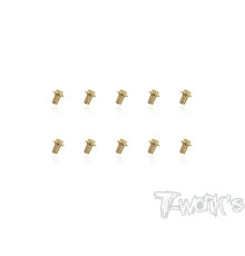 Vis Acier Traitées GOLD Tête UFO 3x4mm (10) - T-WORKS - GSS-304U