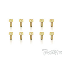 3mmx6mm Gold Hex. CHC Screws (10pcs) - T-WORKS - GSS-306H