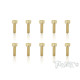 3mmx10mm Gold Hex. FHC Screws (10pcs) - T-WORKS - GSS-310H