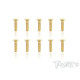 3mmx12mm Gold FHC Screws (10pcs) - T-WORKS - GSS-312C