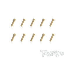 3mmx12mm Gold Steel UFO Screws (10pcs) - T-WORKS - GSS-312U