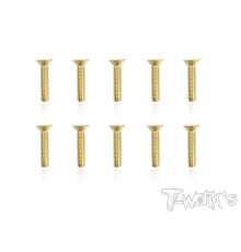 3mmx14mm Gold FHC Screws (10pcs) - T-WORKS - GSS-314C