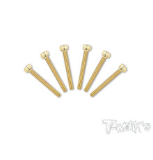 3mmx25mm Gold Steel Hex. CHC Screws (6pcs) - T-WORKS - GSS-325H