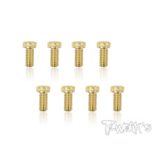 Vis Acier Traitées GOLD FHC 4X10mm (10) - T-WORKS - GSS-410H