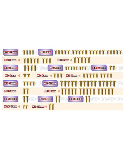 Gold Steel Screw Set 111pcs RC10 B7/B7D - T-WORKS - GSS-RC10B7