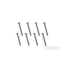 Vis Acier Traitées NICKEL BHC 3x25mm (8) - T-WORKS - NSS-325B