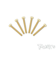 3mmx22mm Gold Hex. CHC Screws (6pcs) - T-WORKS - GSS-322h