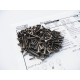  MBX8 Titanium Hex Socket Screw Set - 48304 - HIRO SEIKO