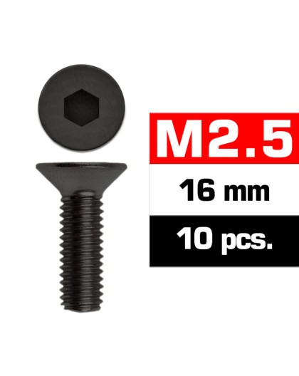 M2,5x16mm FLAT HEAD SCREWS (10 pcs) - UR1612516 - ULTIMATE