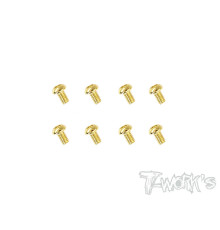 Vis Acier Traitées GOLD BHC 2.5x4mm (8) - T-WORKS - GSS-2504B