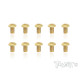 3mmx5mm Gold Button Head Screws (10pcs) - T-WORKS - GSS-305B