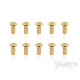 3mmx6mm Gold Button Head Screws (10pcs) - T-WORKS - GSS-306B