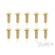 3mmx8mm Gold Button Head Screws (10pcs) - T-WORKS - GSS-308B