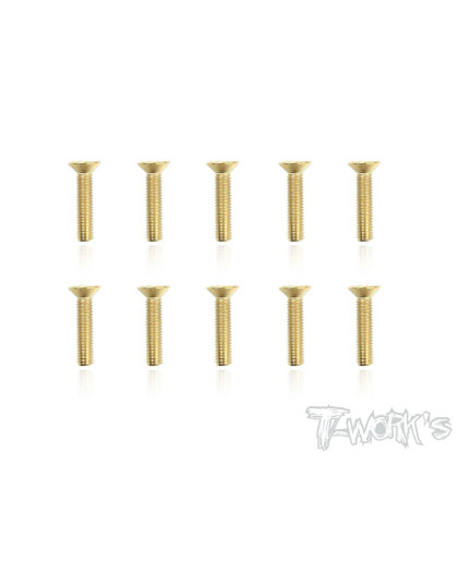 Vis Acier Traitées GOLD FHC 3x14mm (10) - T-WORKS - GSS-314C