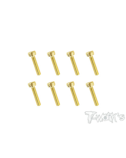 Screws GOLD CHC 3x14mm (10) - T-WORKS - GSS-314H