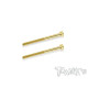 3mmx40mm Gold Steel Hex. CHC Screws (2pcs) - T-WORKS - GSS-340hh