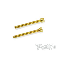 Screws GOLD CHC 4x40mm (2) - T-WORKS - GSS-440H