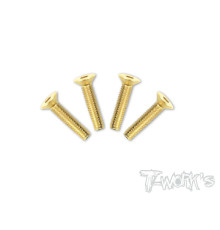 Screws GOLD FHC 4x25mm (2) - T-WORKS - GSS-425C