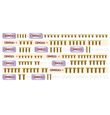 Kit Vis Acier Nitride Doré X-RAY X4 2024 (117) - T-WORKS - GSSU-X4'24