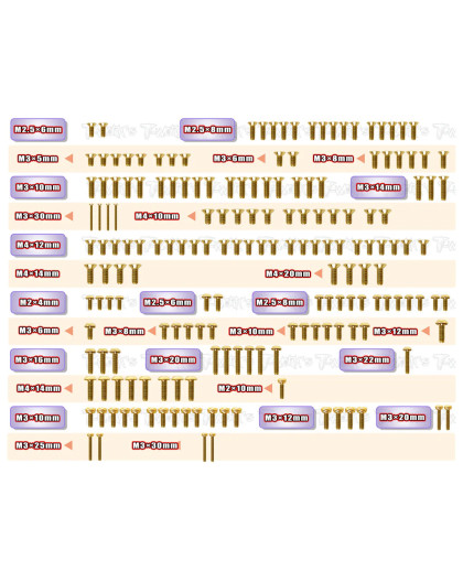 Gold Steel Screw Set 178pcs RC8 B4.1 - T-WORKS - GSS-RC8B4.1