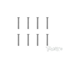 Vis Acier Traitées NICKEL BHC 3x20mm (8) - T-WORKS - NSS-320B