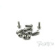 Vis Acier Traitées NICKEL BHC 4x8mm (10) - T-WORKS - NSS-408B